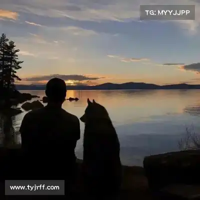 郑舜满